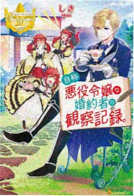 纸鸢与海动画封面